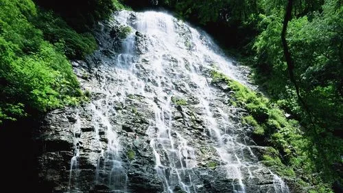 高性能全自动数字化